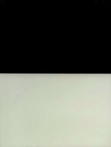 Art-Rite 4-U new, Cattelan flop. Garutti e Marini top