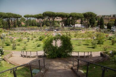 Sbocciano le rose di Roma: riapre il roseto comunale. Show di colori e profumi