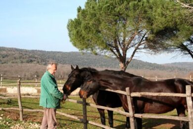 Fiumicino al voto: Montino, De Vecchis, Baccini, Velli, Poggio: i candidati