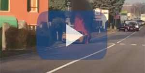 lamborghini bruciata video