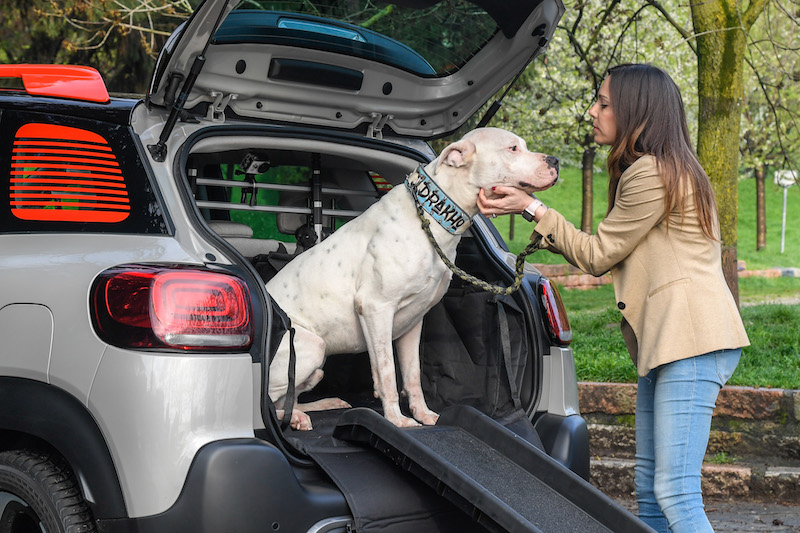 “Pet à porter” Citroen pensa agli amici a quattro zampe “Pet à porter” Citroen pensa agli amici a quattro zampe