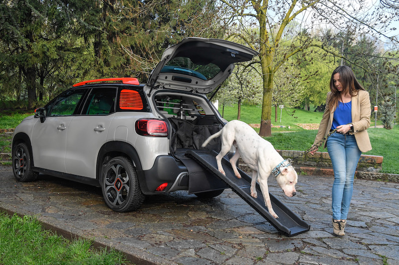 “Pet à porter” Citroen pensa agli amici a quattro zampe “Pet à porter” Citroen pensa agli amici a quattro zampe