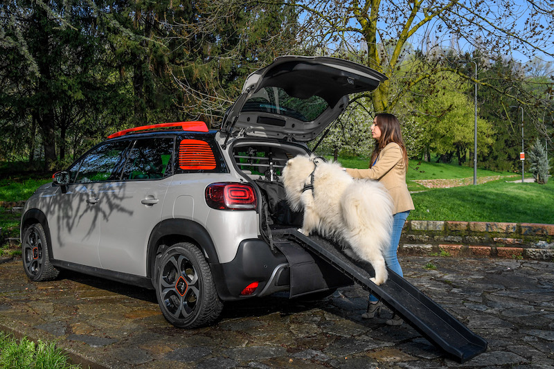 “Pet à porter” Citroen pensa agli amici a quattro zampe “Pet à porter” Citroen pensa agli amici a quattro zampe