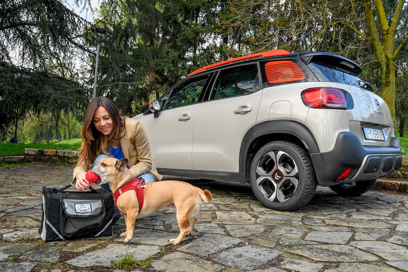“Pet à porter” Citroen pensa agli amici a quattro zampe “Pet à porter” Citroen pensa agli amici a quattro zampe