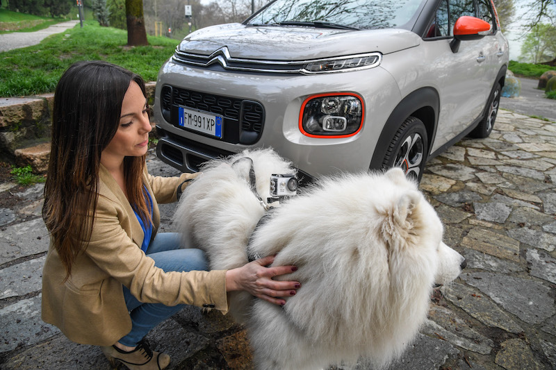 “Pet à porter” Citroen pensa agli amici a quattro zampe “Pet à porter” Citroen pensa agli amici a quattro zampe