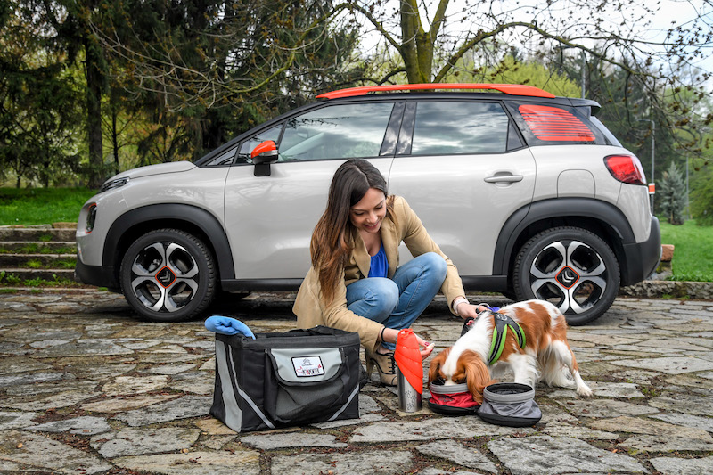 “Pet à porter” Citroen pensa agli amici a quattro zampe “Pet à porter” Citroen pensa agli amici a quattro zampe