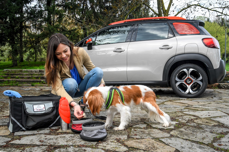 “Pet à porter” Citroen pensa agli amici a quattro zampe “Pet à porter” Citroen pensa agli amici a quattro zampe