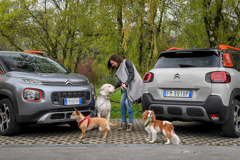 “Pet à porter” Citroen pensa agli amici a quattro zampe “Pet à porter” Citroen pensa agli amici a quattro zampe