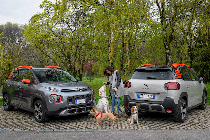 “Pet à porter” Citroen pensa agli amici a quattro zampe “Pet à porter” Citroen pensa agli amici a quattro zampe