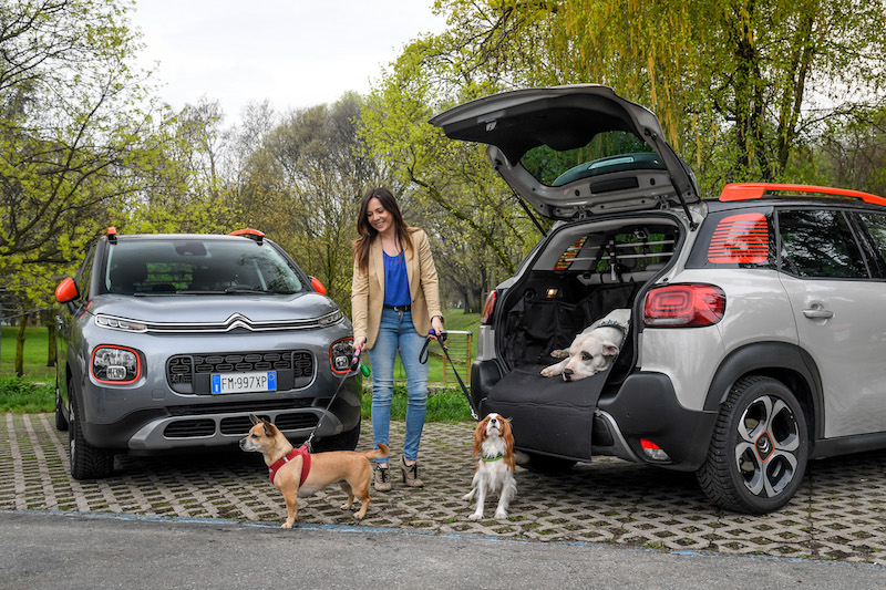 “Pet à porter” Citroen pensa agli amici a quattro zampe “Pet à porter” Citroen pensa agli amici a quattro zampe