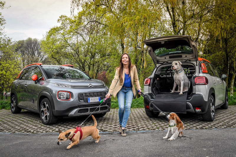 “Pet à porter” Citroen pensa agli amici a quattro zampe “Pet à porter” Citroen pensa agli amici a quattro zampe