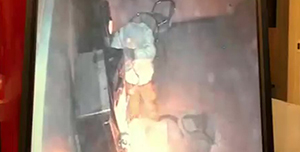 Arresto in diretta a Reggio Emilia, rubano l’incasso delle slot machines