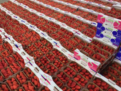 Weekend goloso a Cassina De Pecchi con Fragolosa 2018