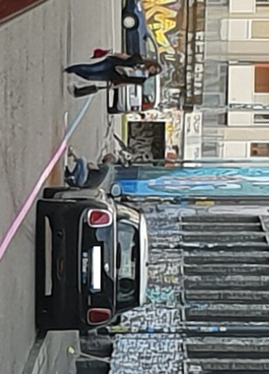 Il Leoncavallo ridipinge di rosa le strisce blu, ira della Lega