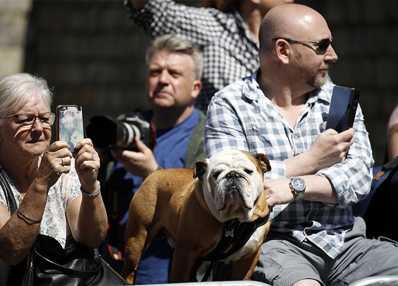 Harry Meghan Markle, inizia il royal wedding. Diretta minuto per minuto. FOTO Harry Meghan Markle, inizia il royal wedding. Diretta minuto per minuto. FOTO