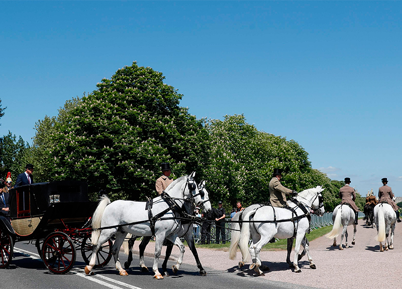 Royal wedding, Meghan rivoluziona i reali. Ma la vera star è il pastore Curry Royal wedding, Meghan rivoluziona i reali. Ma la vera star è il pastore Curry