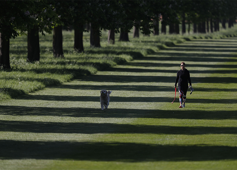 Royal wedding, Meghan rivoluziona i reali. Ma la vera star è il pastore Curry Royal wedding, Meghan rivoluziona i reali. Ma la vera star è il pastore Curry