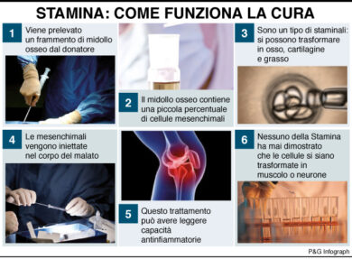 Governo M5s-Lega, dubbi su Conte: dalla NY University a Opus dei e Stamina