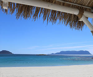 “Fino Beach”, i tre lombardi  che hanno conquistato la Sardegna