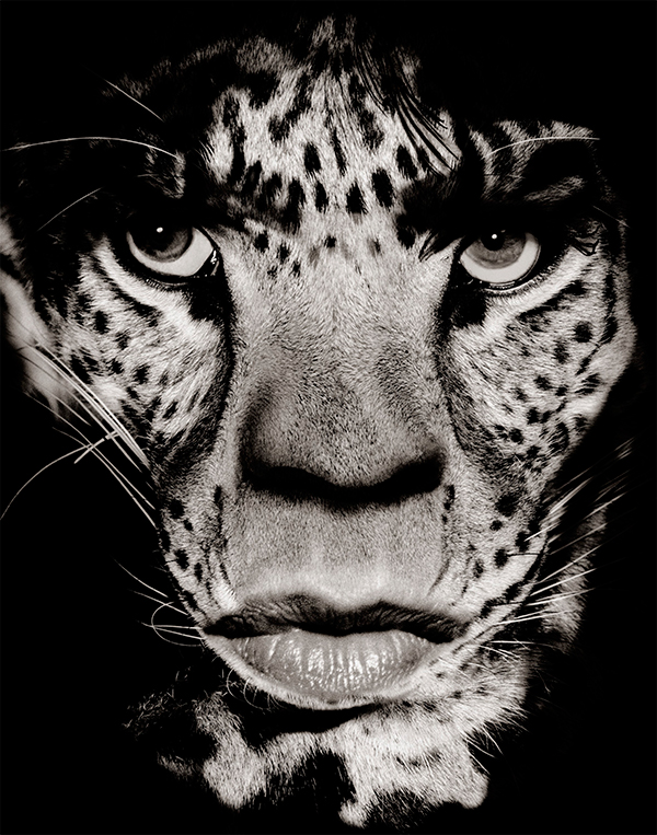 Calendario Pirelli 2019: Albert Watson fotografo del prossimo Pirelli 2019