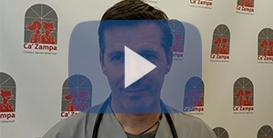 Ca’Zampa: nasce la prima clinica veterinaria integrata in Italia per cura pet