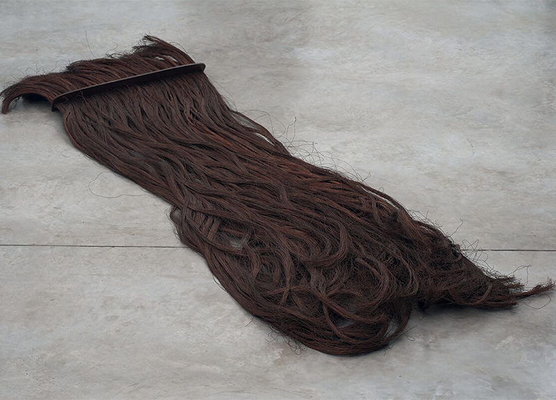 “Brasile. Il coltello nella carne”, la mostra al Pac “Brasile. Il coltello nella carne”, la mostra al Pac