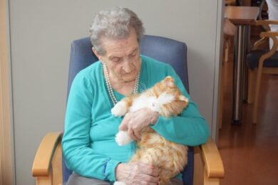 Alzheimer: la Sacra Famiglia utilizza robotic pet therapy e doll therapy