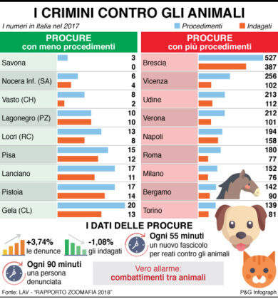 Zoomafia, ogni 55 minuti un nuovo reato contro animali. Il report