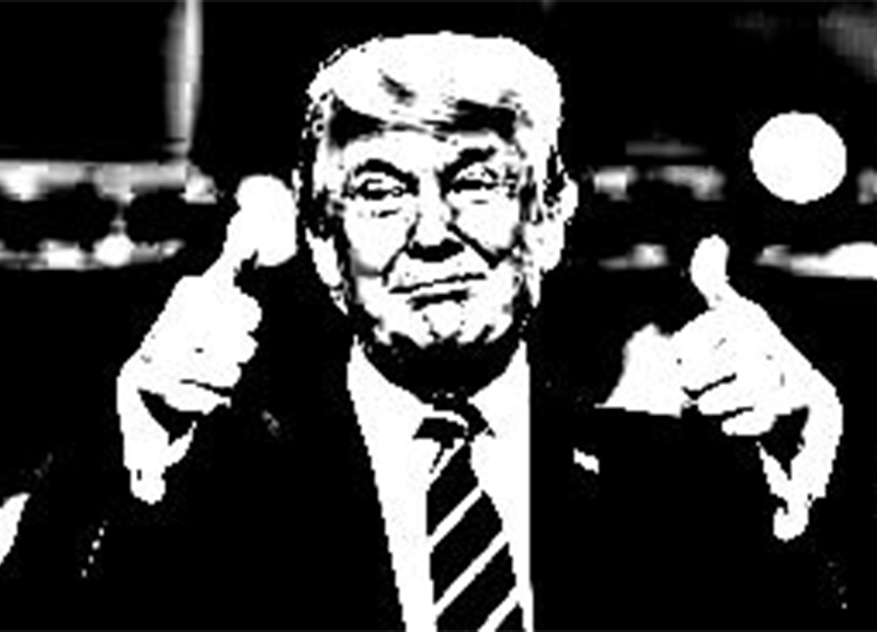 Il fatto della settimana, Donald Trump visto dall’artista Il fatto della settimana, Donald Trump visto dall’artista