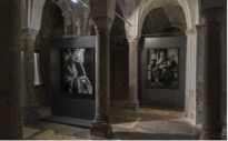 michelangelo3 michelangelo3