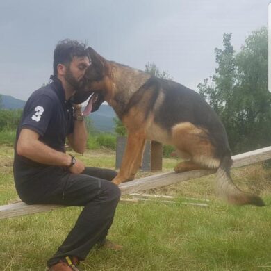 Ucciso il cane Kaos. Proposta una medaglia al valore per l’eroe di Amatrice