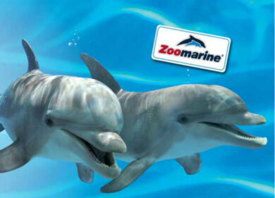 Zoomarine: il parco marino di Roma punta su progetti di responsabilità sociale