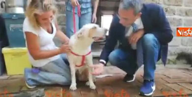 Sergio Costa visita la cagnolina gettata in mare con pietra al collo