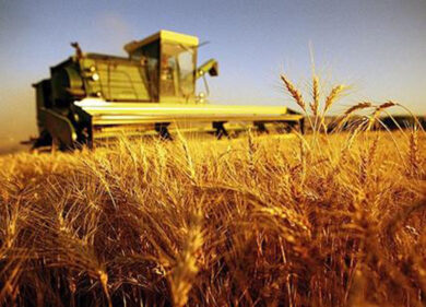 Coldiretti, al via i voucher in agricoltura, ma nei campi usati solo il 2%