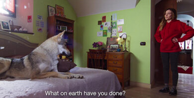 Generali Group, Fiabe: Cappuccetto rosso