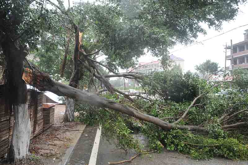 Filippine, il tifone Mangkhut devasta il Paese: si temono 100 morti Filippine, il tifone Mangkhut devasta il Paese: si temono 100 morti