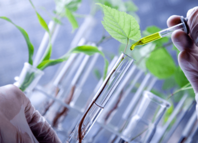 Trace x Novamont, call per progetti di Circular Economy e Bioeconomia