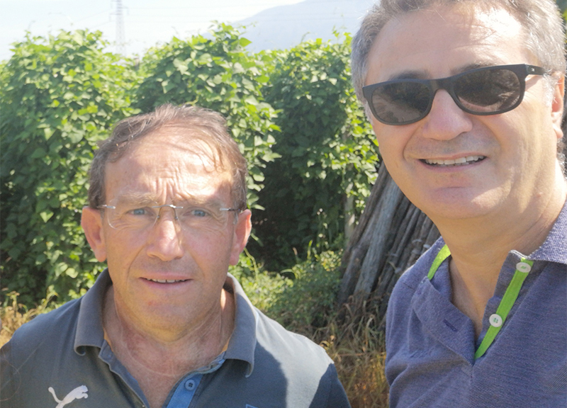 Divin Castagne 2018, il format che promuove le eccellenze agricole dei Lattari Divin Castagne 2018, il format che promuove le eccellenze agricole dei Lattari