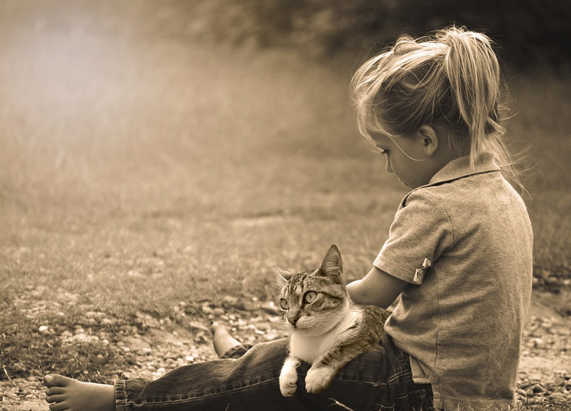 I gatti fanno bene a salute: adottare un gatto allunga la vita, i 10 benefici I gatti fanno bene a salute: adottare un gatto allunga la vita, i 10 benefici