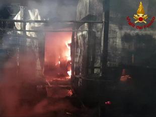 Incendi: gattile in fiamme, morti oltre 100 mici nel Milanese