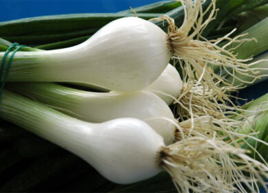 A Divin Castagne la vetrina dei prodotti dell’Agro Nocerino del benessere