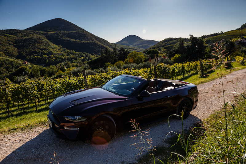 Nuova Ford Mustang: quando i sogni diventano realtà Nuova Ford Mustang: quando i sogni diventano realtà