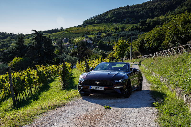 Nuova Ford Mustang: quando i sogni diventano realtà Nuova Ford Mustang: quando i sogni diventano realtà