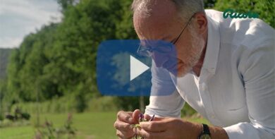 Ricola, lo scienziato fa danzare le piante: l’esperimento diventa un film