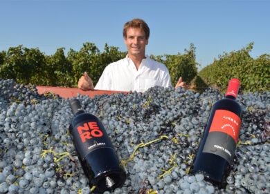 In casa Conti Zecca l’agricoltura sostenibile dà una vendemmia eccezionale