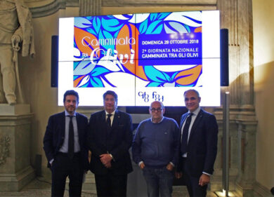 Camminate tra gli olivi secolari, gli itinerari dell’extravergine in Campania