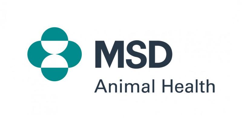 Leopolda della Salute: MSD AH vince il Lean Healthcare e Lifescience Award Leopolda della Salute: MSD AH vince il Lean Healthcare e Lifescience Award