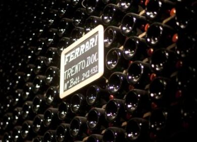 Cantine Ferrari vince il premio Cantina dell’Anno 2019 del Gambero Rosso