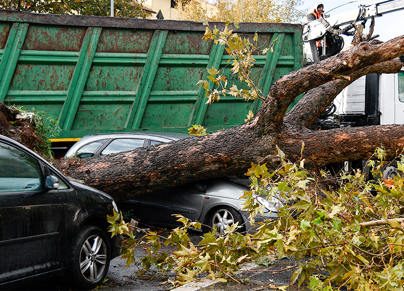 Maltempo da Nord a Sud: 12 morti. Acqua record a Venezia. Danni a San Marco Maltempo da Nord a Sud: 12 morti. Acqua record a Venezia. Danni a San Marco