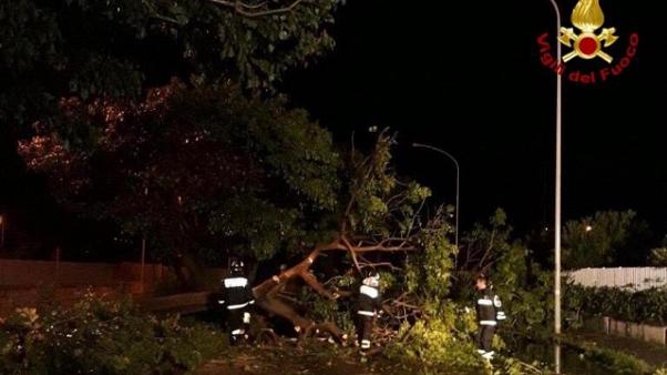 Maltempo, intera famiglia sterminata. Pm: “Case troppo vicine al fiume” Maltempo, intera famiglia sterminata. Pm: “Case troppo vicine al fiume”